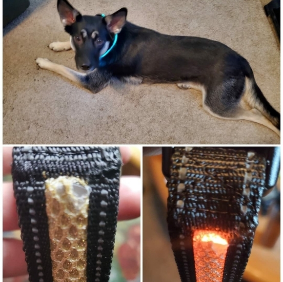 Mutovlin Light Up Bluetooth APP Multiple RGB Colors Led Dog Collar Size Large - Picture 8 of 12